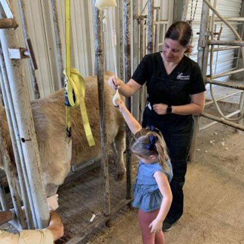 A young girl, guided by a woman in a black outfit who appears to be a veterinarian, is bottle-feeding a light brown calf inside a fenced enclosure. The vet is smiling and assisting the girl, who is reaching up with the bottle to feed the calf. The setting appears to be a barn or a stable.