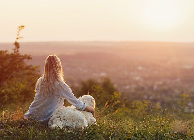 A person with long blonde hair, perhaps a veterinarian, sits on a grassy hill, facing away from the camera, with an arm around a white dog. They both gaze towards a serene, expansive landscape under a soft, golden sunset. The scene exudes calmness and companionship.