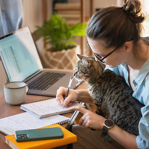 A veterinarian wearing glasses works at a desk with a laptop, notebook, and cup. A cat sits in their lap, resting its paws and head on the table. A green smartphone and a yellow book are to the side. A plant is in the background.