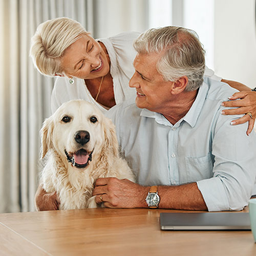 An elderly couple, both with white hair, sit at a table smiling and looking at each other while gently hugging a happy golden retriever, fresh from a checkup with the veterinarian. The woman rests her arm on the man's shoulder. A laptop is partially visible on the table.