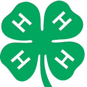 Green four-leaf clover emblem with a white "H" on each leaf, symbolizing the care and compassion of a skilled veterinarian.