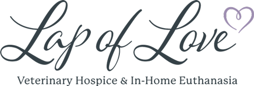 Lap of Love logo with elegant script text, a small lavender heart, and the tagline "Veterinary Hospice & In-Home Euthanasia" beneath the main name.